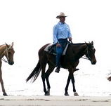 Ride the Beach - Darwin Tourism
