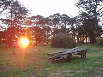 Point Cook Homestead - Darwin Tourism 0