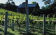 Goona Warra Vineyard - thumb 1