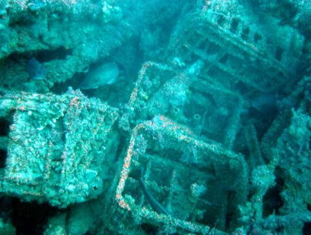 Underwater Sports Diving Centre - Darwin Tourism 0