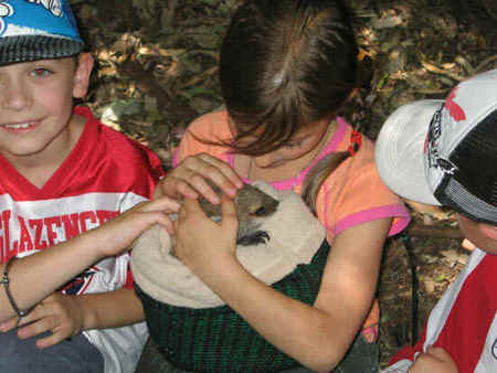 Koala Park Sanctuary - Darwin Tourism 3