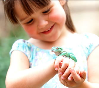 Reptile Encounters - Darwin Tourism 1