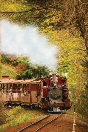 Puffing Billy - Darwin Tourism 5