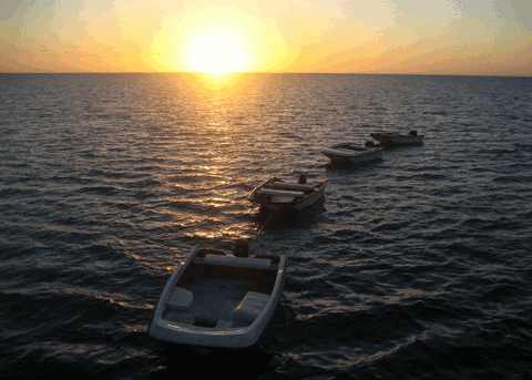 Carlo Fishing Charters - Darwin Tourism 2