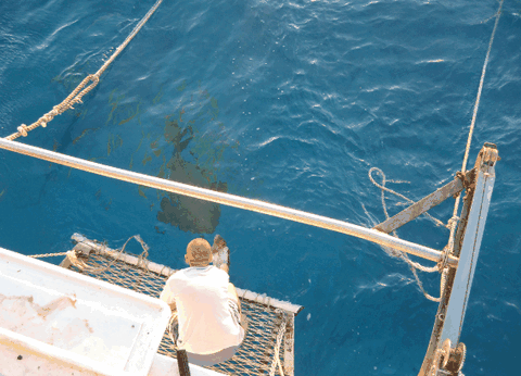 Carlo Fishing Charters - Darwin Tourism 4