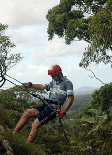 Adventures Around Brisbane - Darwin Tourism