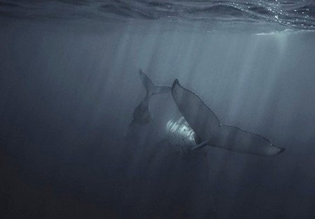 Eleven40 Gallery - Darwin Tourism 4