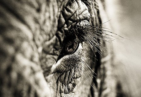 Eleven40 Gallery - Darwin Tourism 5