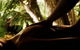 Salus Spa At The Lake House - thumb 4