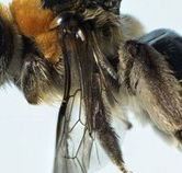 Western Australian Museum - Darwin Tourism