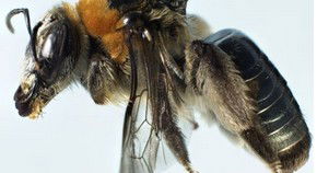 Western Australian Museum - Darwin Tourism 0