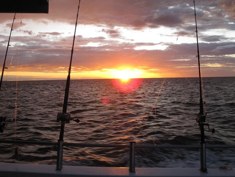 Blue Juice Charters - Darwin Tourism 5