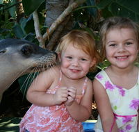 Dolphin Marine Magic - Darwin Tourism