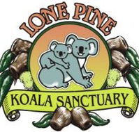 Lone Pine Koala Sanctuary - Darwin Tourism