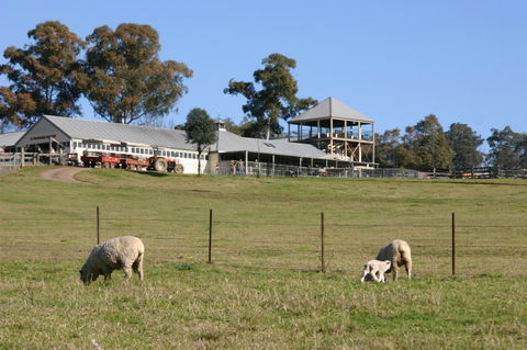 Calmsley Hill City Farm - Darwin Tourism 3