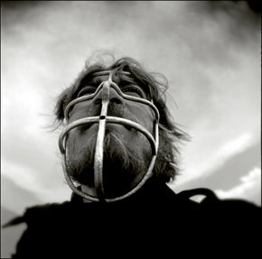 Australian Centre For Photography - Darwin Tourism 3