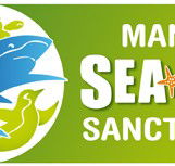 Manly SEA LIFE Sanctuary - Darwin Tourism