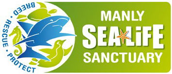 Manly SEA LIFE Sanctuary - Darwin Tourism 0
