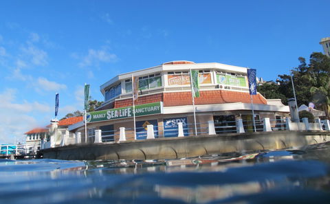 Manly SEA LIFE Sanctuary - Darwin Tourism 2