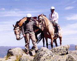 High Country Horses - Darwin Tourism 3