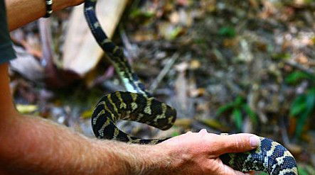 Queensland Day Tours - Darwin Tourism 1