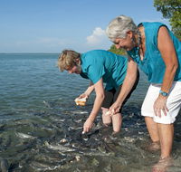 Aquascene Fish Feeding Sanctuary - Darwin Tourism