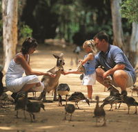 Billabong Sanctuary - Darwin Tourism