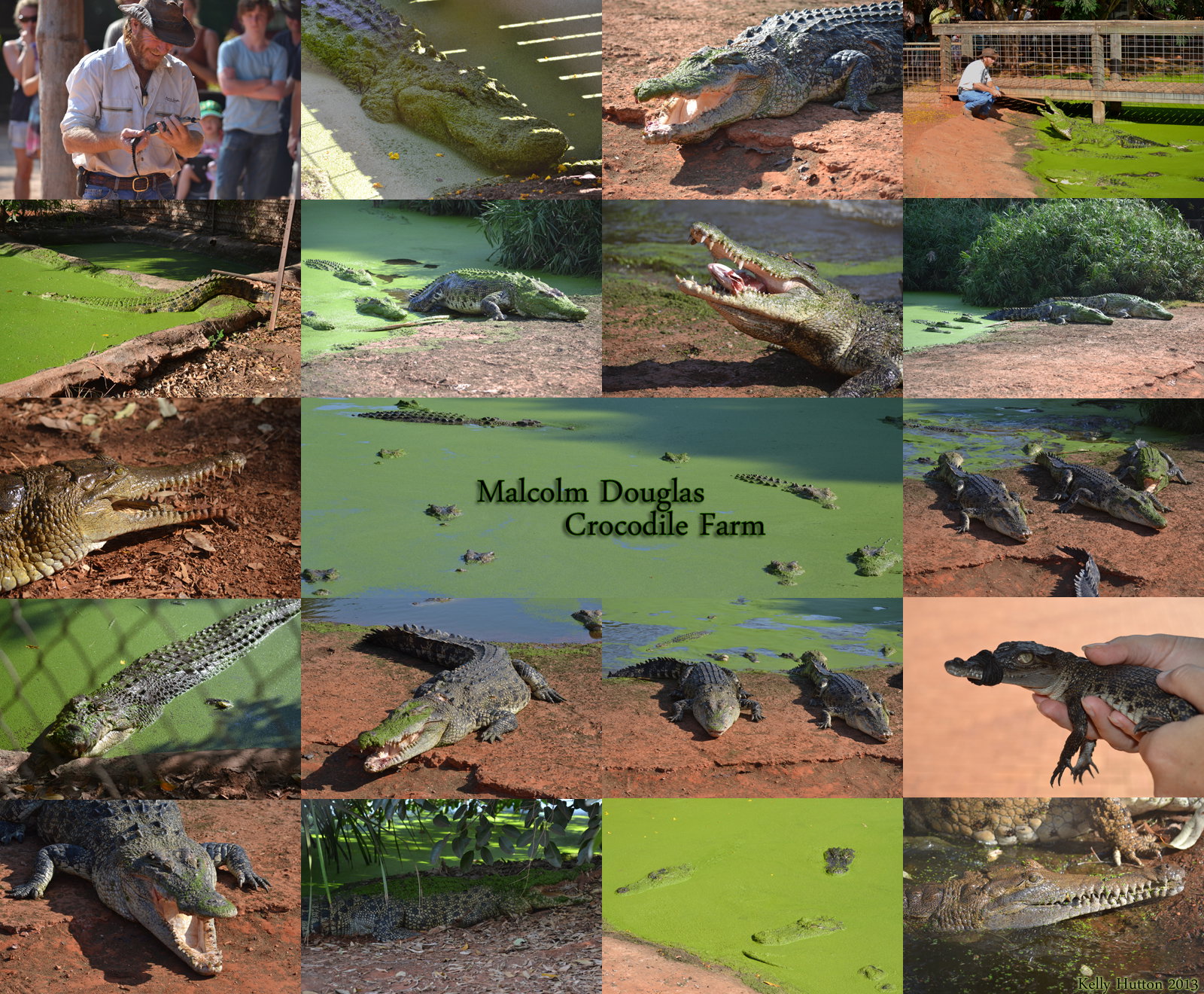  Darwin Tourism