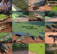 The Malcolm Douglas Crocodile Park - Darwin Tourism