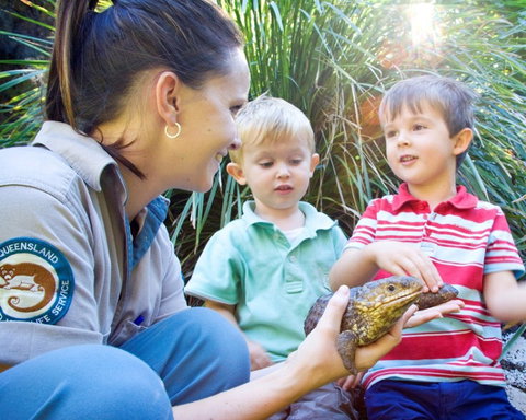 David Fleay Wildlife Park - Darwin Tourism 3