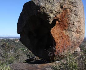 Eagle's View Walk, John Forrest National Park - Darwin Tourism 0