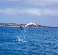 Steep Point - Darwin Tourism