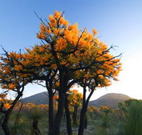 Cape Le Grand National Park - Darwin Tourism