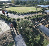 Kojonup Rose Maze - Darwin Tourism