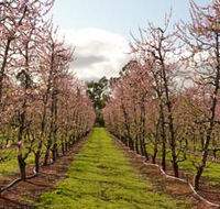 Raeburn Orchards - Darwin Tourism
