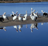 Peel Region Canoe Trails - Darwin Tourism