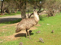 Book Fishermans Bay SA Attractions Darwin Tourism Darwin Tourism