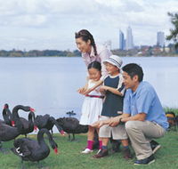 Lake Monger - Darwin Tourism