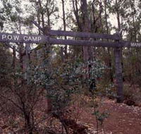 Marrinup Trail Dwellingup - Darwin Tourism