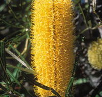 Moore River National Park - Darwin Tourism