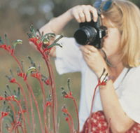 Gingin Cemetery - Darwin Tourism