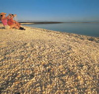Shell Beach - Darwin Tourism
