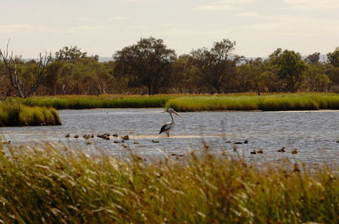 Anytime Adventures In Mandurah & The Peel Region - Darwin Tourism 0