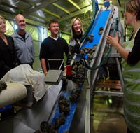 Eyre Peninsula's Seafood Trail - Darwin Tourism
