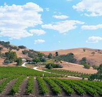 Bethany Wines - Darwin Tourism