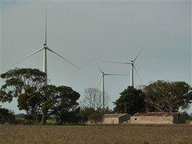 Wattle Point Wind Farm - Darwin Tourism 0