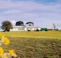 Lucindale Country Club - Darwin Tourism