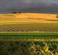 Kellermeister Wines - Darwin Tourism