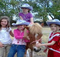 Amberainbow Pony Rides - Darwin Tourism
