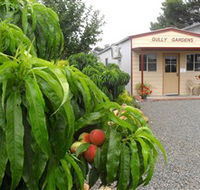 Gully Gardens - Darwin Tourism